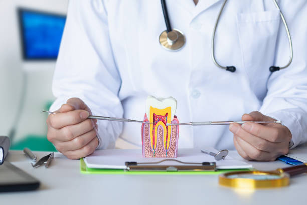 Best Pediatric Emergency Dentist in Tipton, IA
